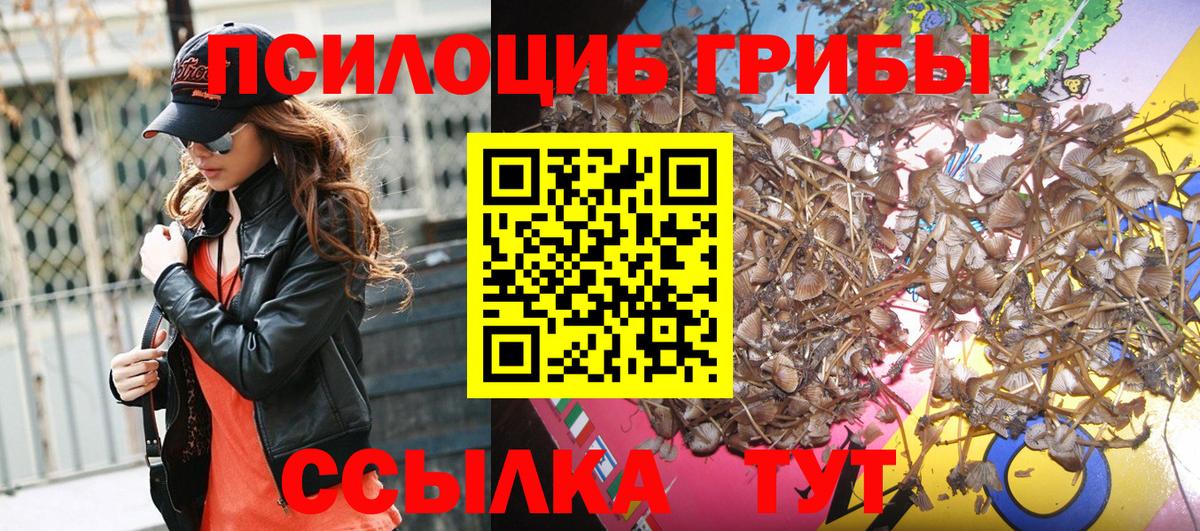Галлюциногенные грибы MAGIC MUSHROOMS Холмск