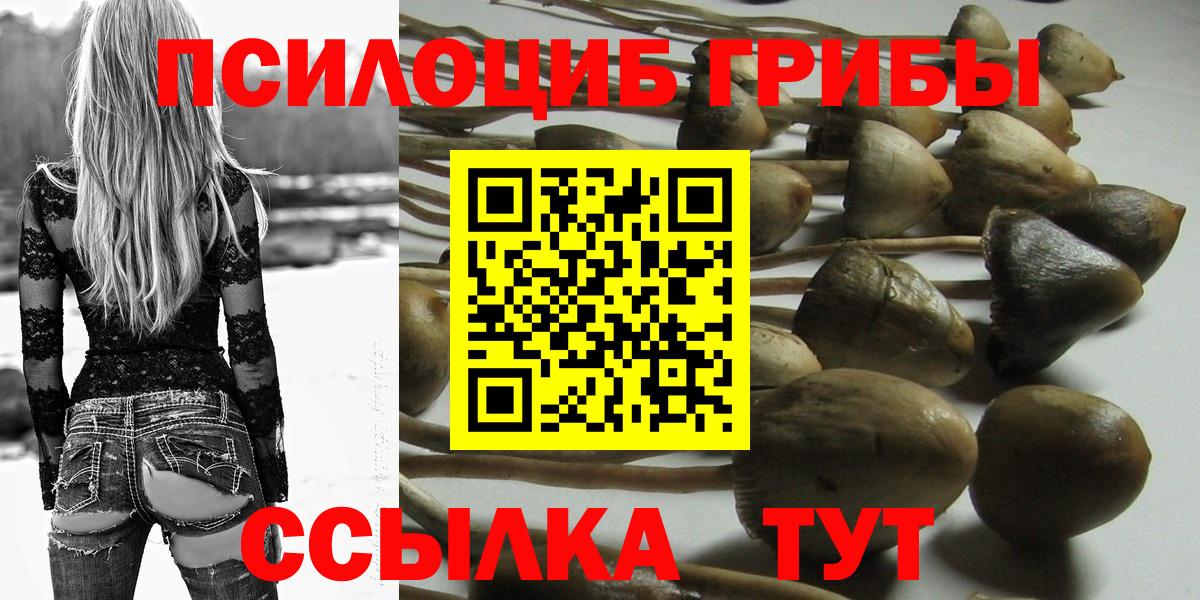 Холмск  Галлюциногенные грибы Magic Shrooms  Галлюциногенные грибы мицелий  Вход с VPN 